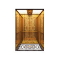 Attractive Luxury Building Passenger Lift Price